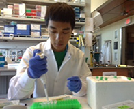 Jorden Chiu pipetting at the bench